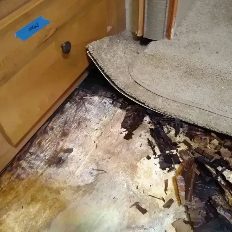 Best Wood Floor Water Damage Service in Lake of the Woods County, MN